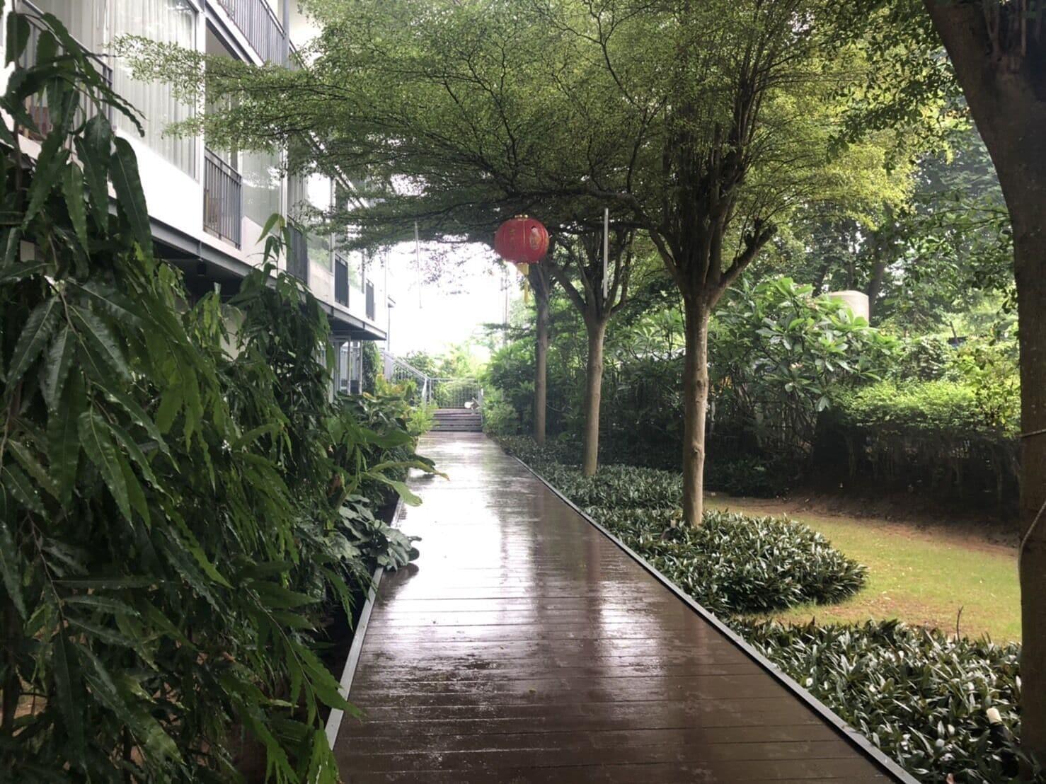 Equipamiento de Habitación LG Lemon Grass