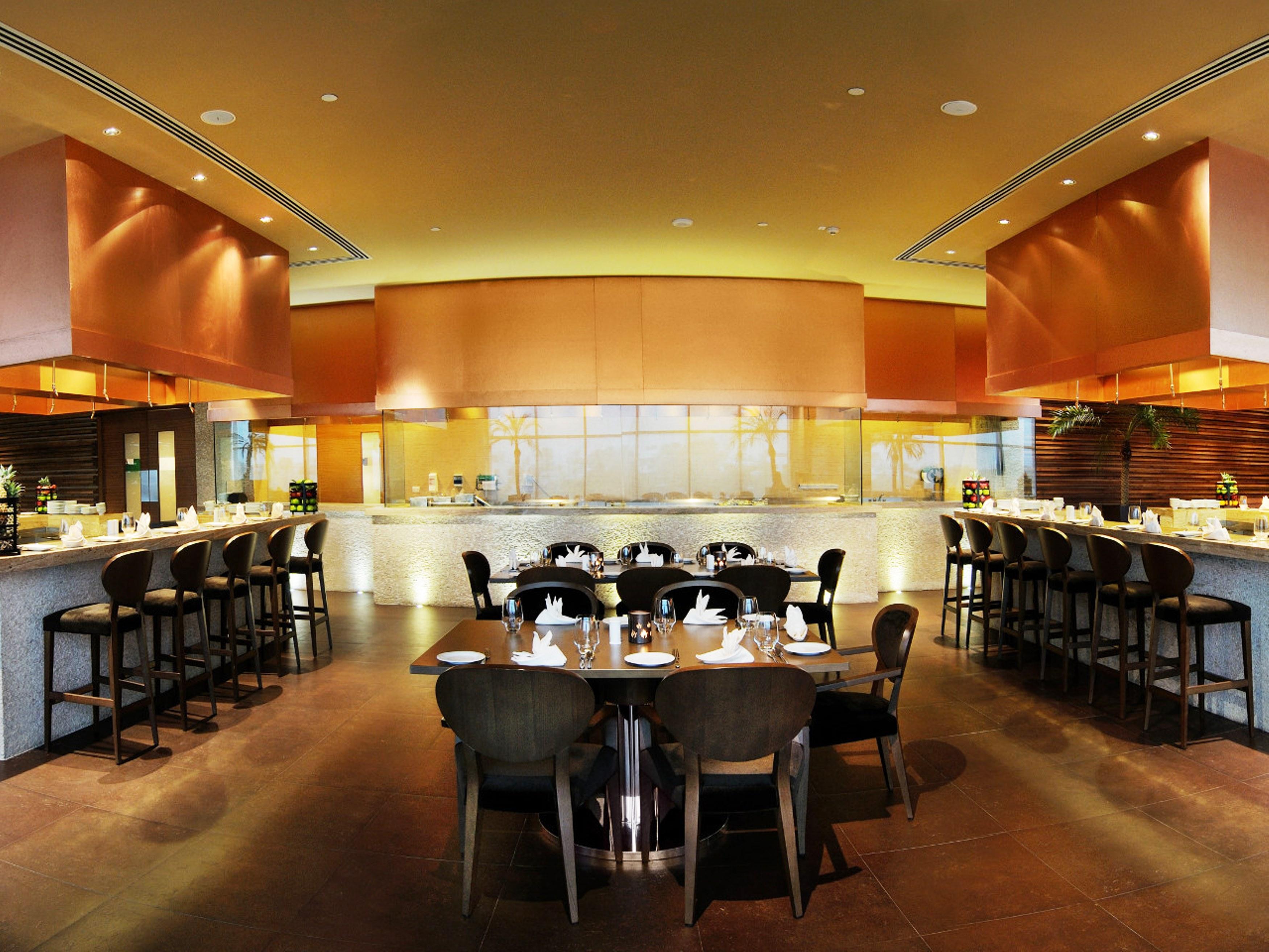 Bar/Salón Radisson Blu Hotel New Delhi Paschim Vihar