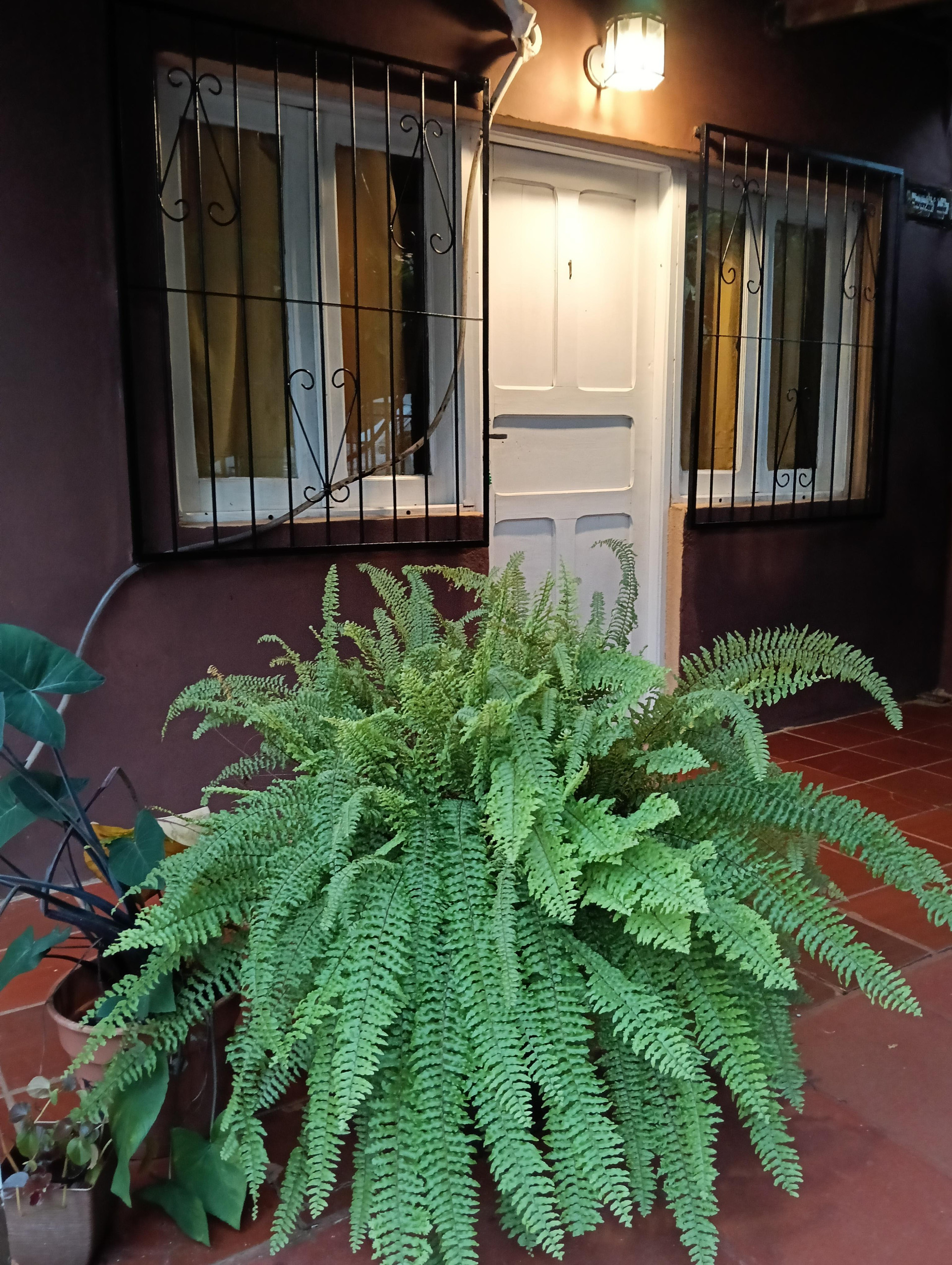 Habitación Residencial Los Pinos