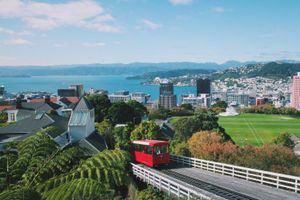 Actividad - Tour de día completo de Wellington