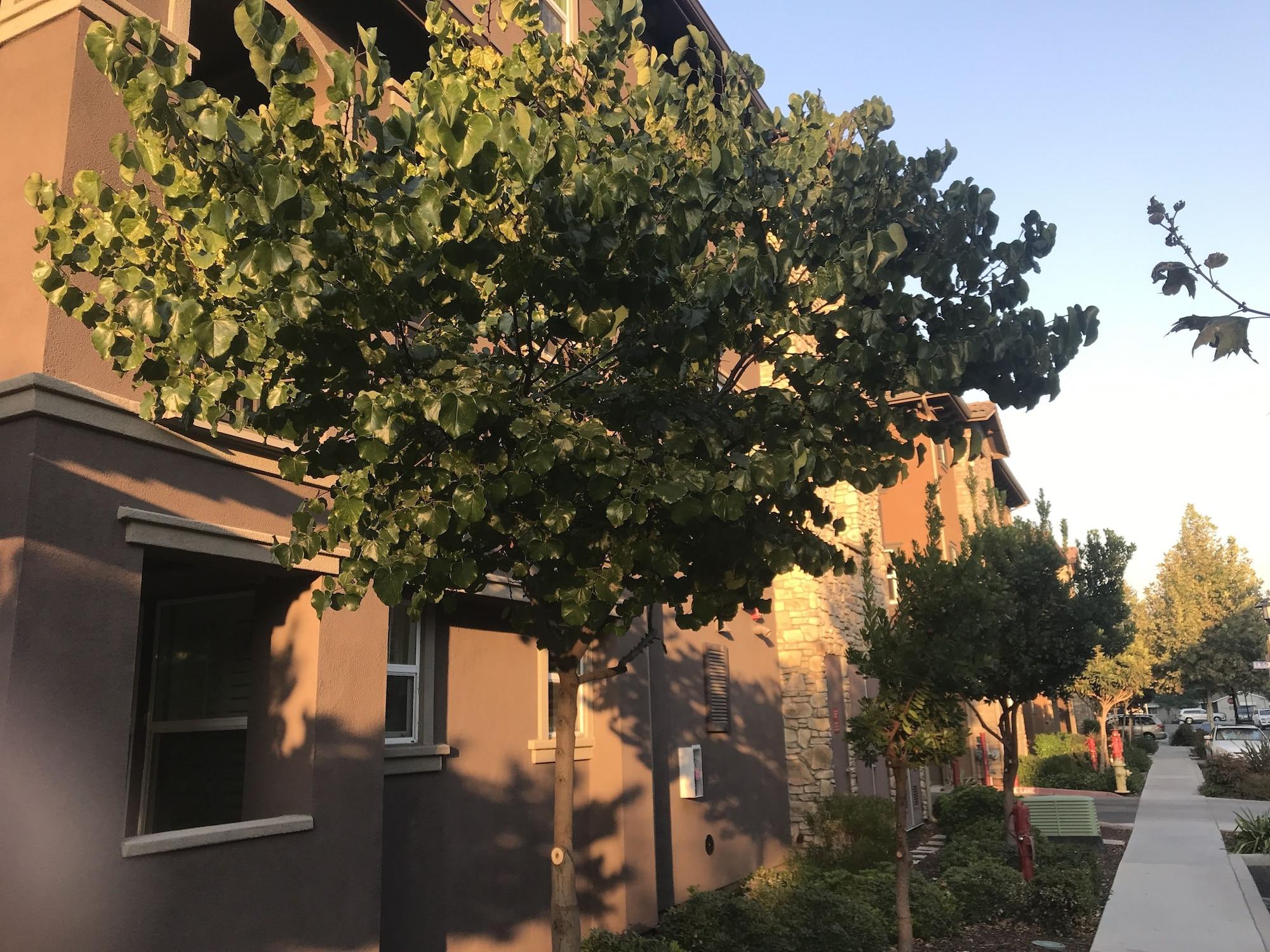 Varios Shared Private Home at Santana Row
