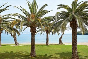 Alojamiento - Grecotel LUXME Daphnila Bay