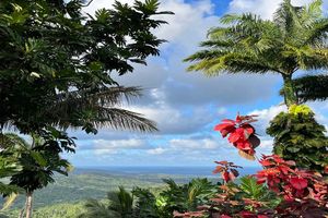 Actividad - Enchanted Gardens of Barbados - Tour de medio día