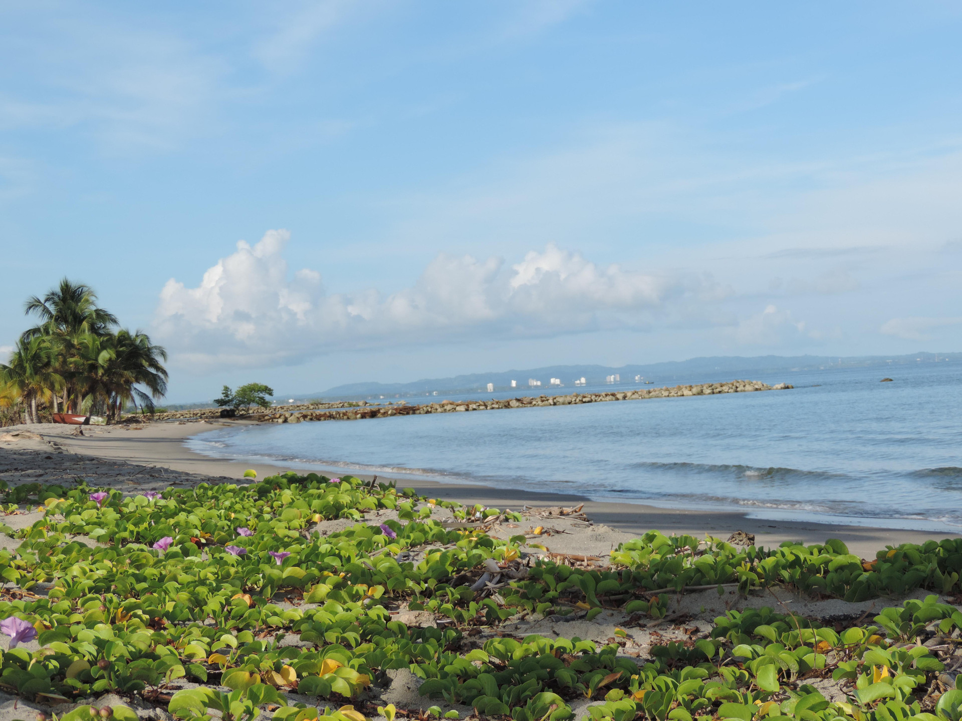 Playa Manglar De Las Garzas