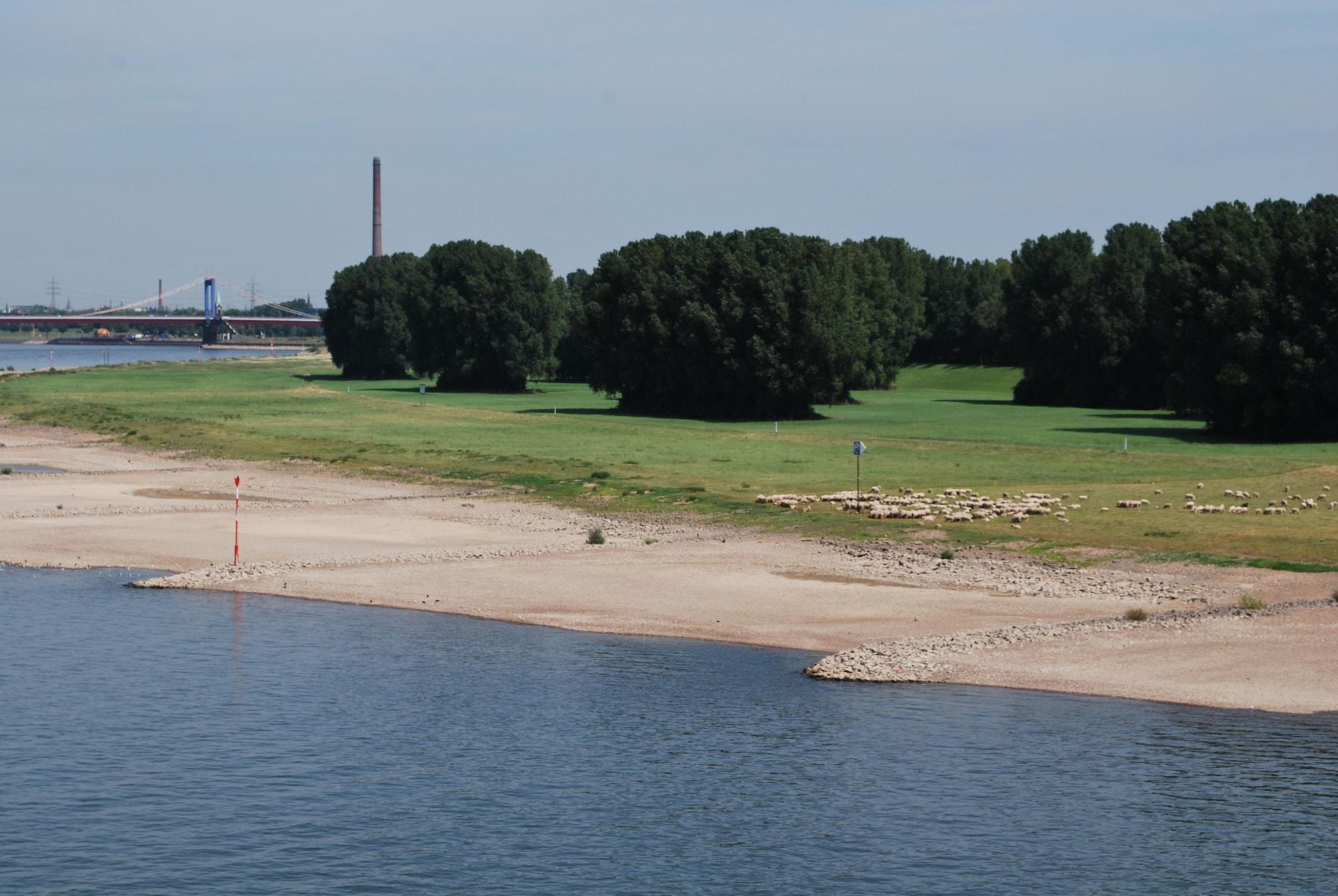 Playa Central Pension