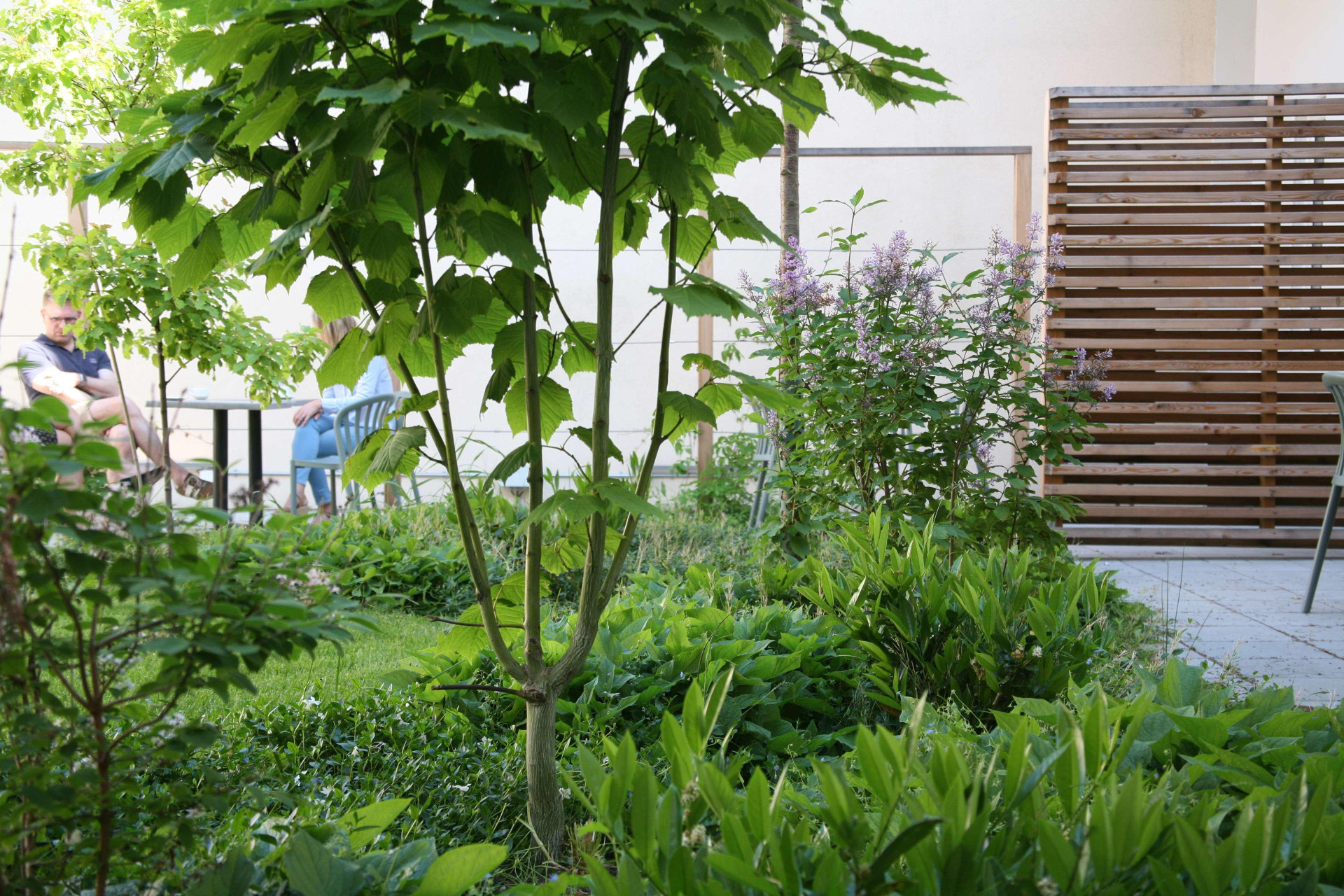 Vista Exterior Best Western Plus Hotell Nordic Lund