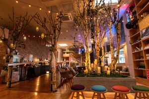 Alojamiento - Ofuro Cafe Utatane Hotel