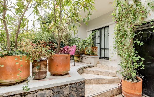 Casa Alexia - Hoteles en Colonia Americana de Guadalajara