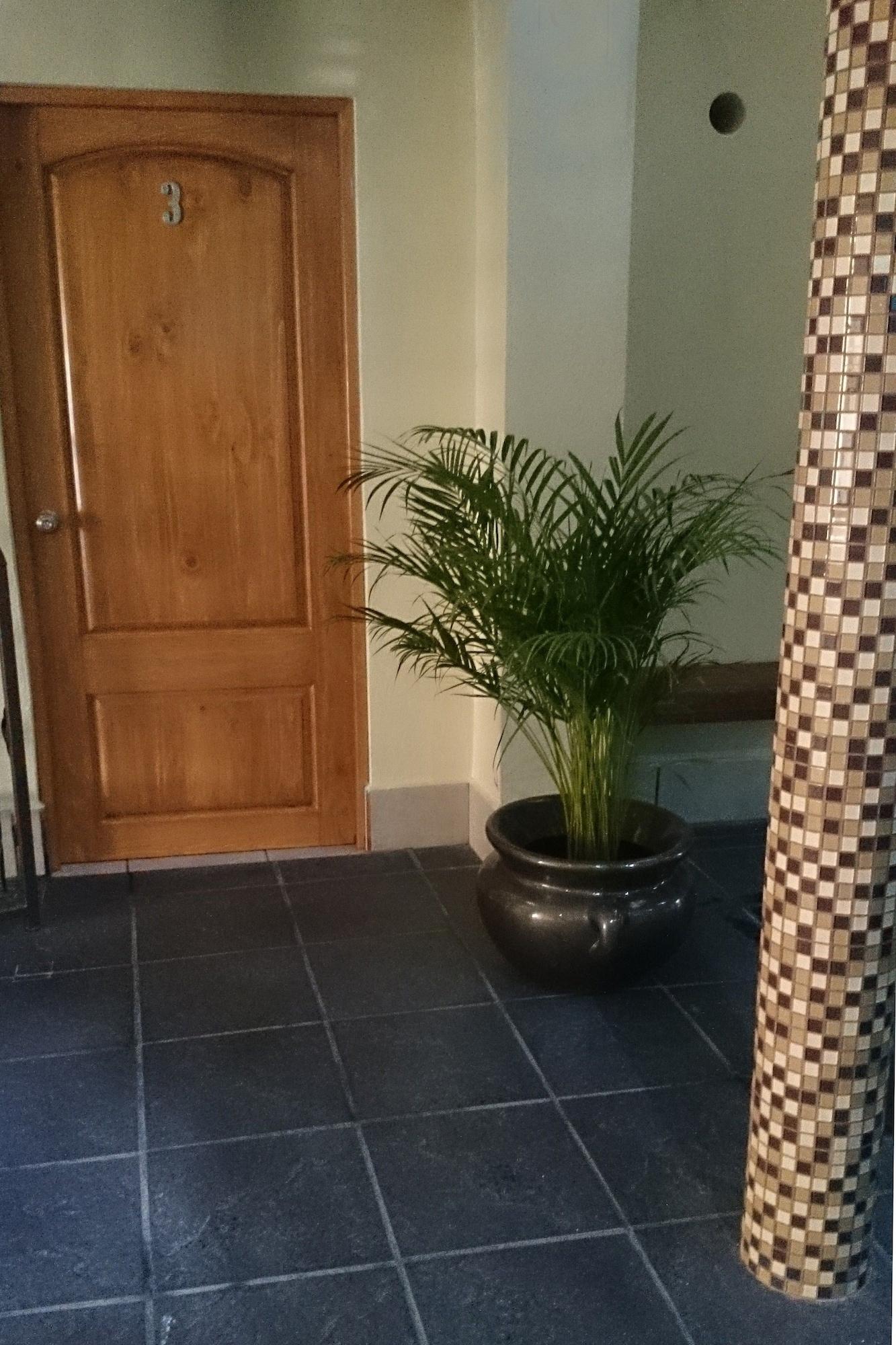 Comodidades del Alojamiento Hotel 1973