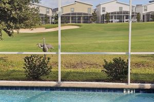 Alquiler Vacacional - Spectacular 5Villa -Golf Course View, SaltPool/Spa, Game Room, BBQ & Theater