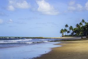 Actividad - Excursión de día completo a las tres playas paradisíacas: Coqueirinho, Tambaba y Tabatinga