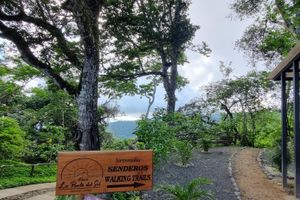 Alojamiento - Finca Sunset Monteverde