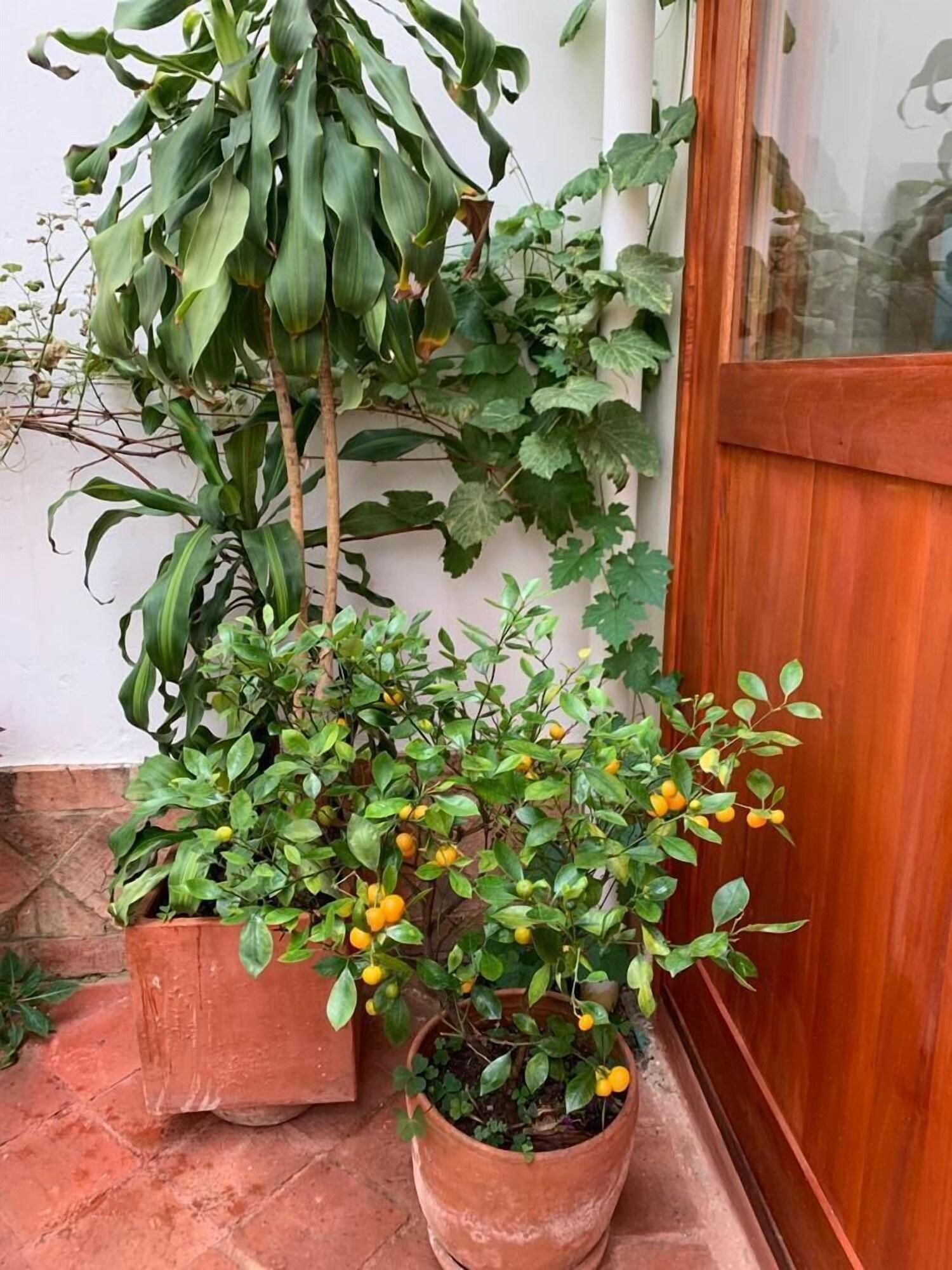 Vista Exterior Hotel Sol De La Villa