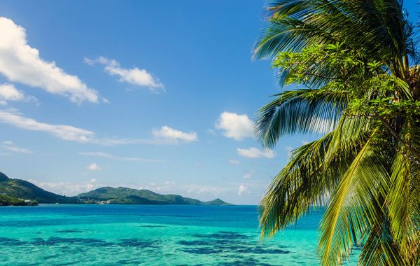 Sol Caribe Campo
