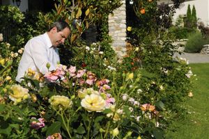 Alojamiento - Jennifer Home Hotel