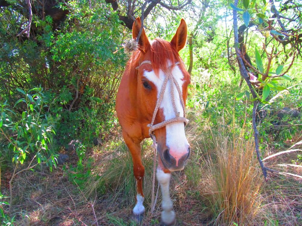 Varios Hostería El Cambio