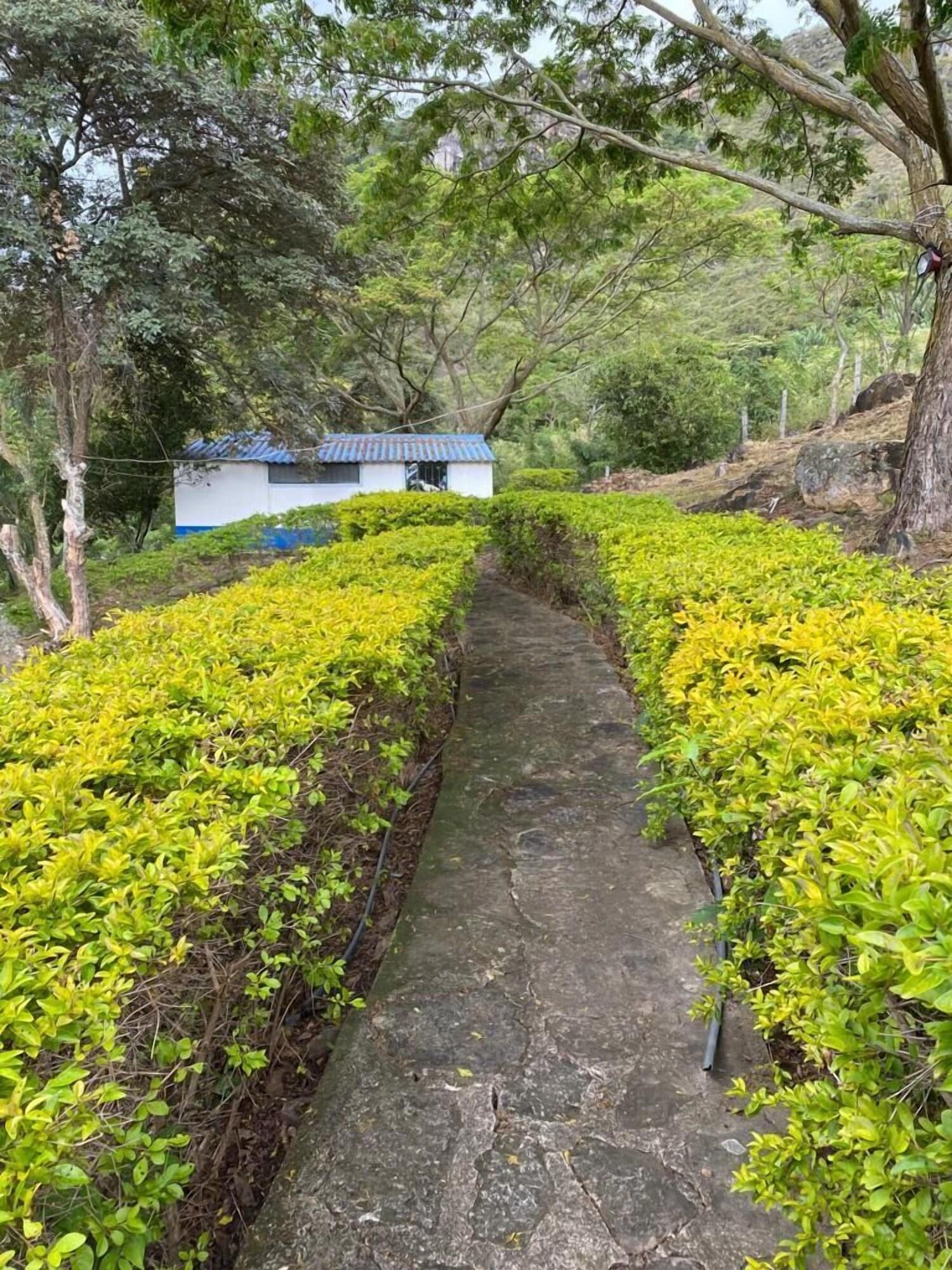 Comodidades del Alojamiento Hacienda El Bosque Alojamiento Campestre