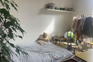 Alquiler Vacacional - Cozy Nest/Studio - Grande Terrace, Marolles historical center of Brussels