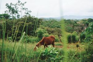 Alojamiento - SurfAsana Lodge