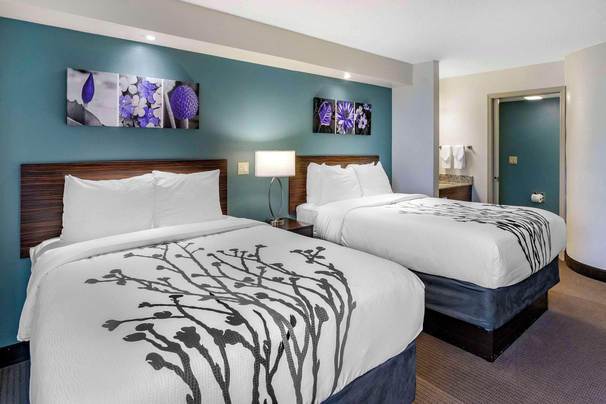 Habitación Sleep Inn Clearwater - St Petersburg