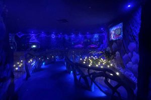 Actividad - Entopia - Ticket