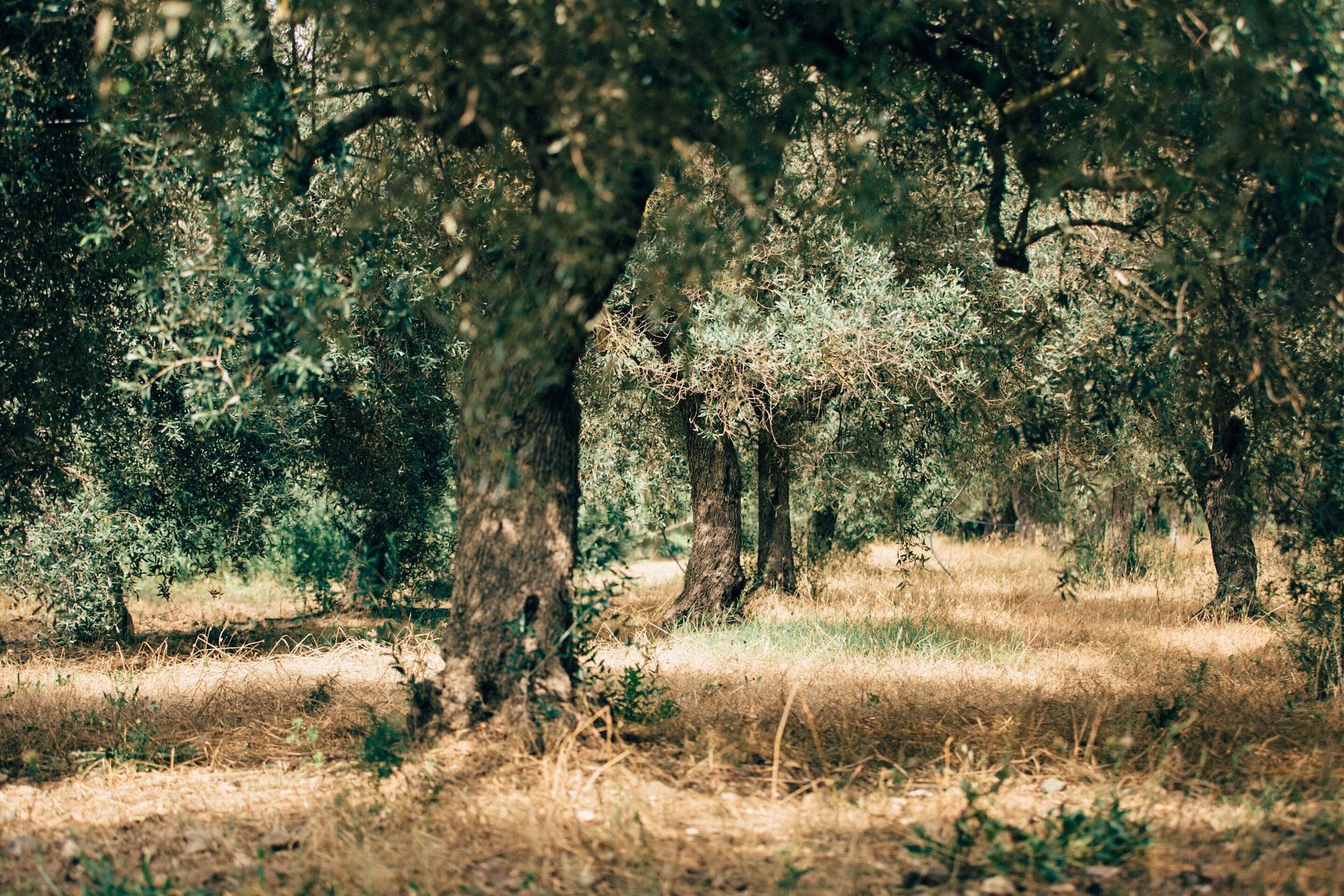 Vista Exterior Su Leunaxiu