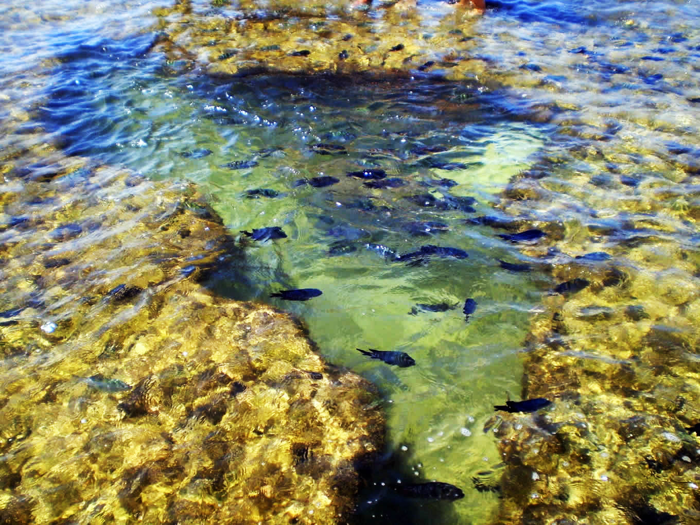 Porto de Galinhas