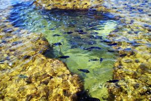 Pacote - Pacotes para Porto de Galinhas