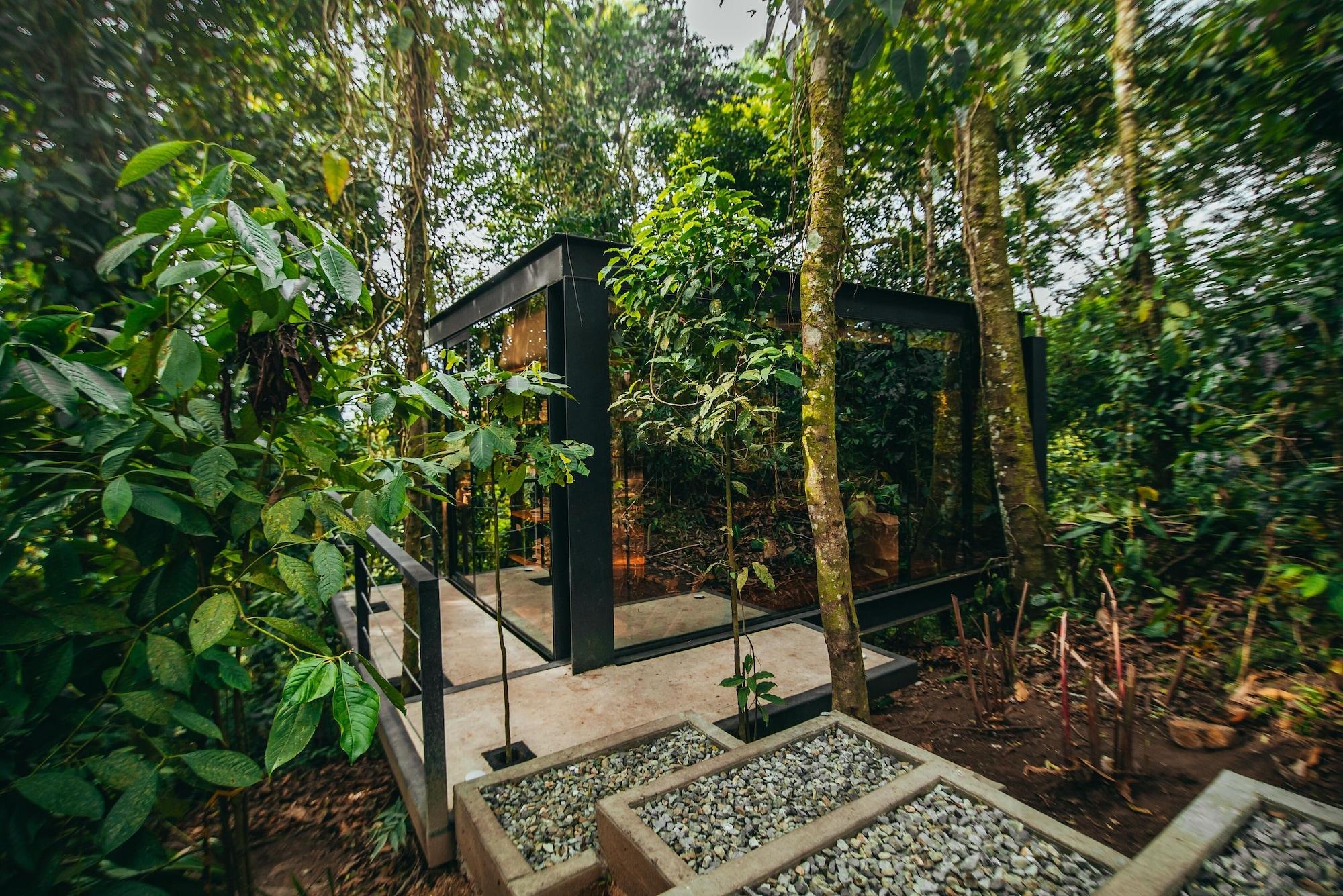 Habitación Bio Habitat Hotel
