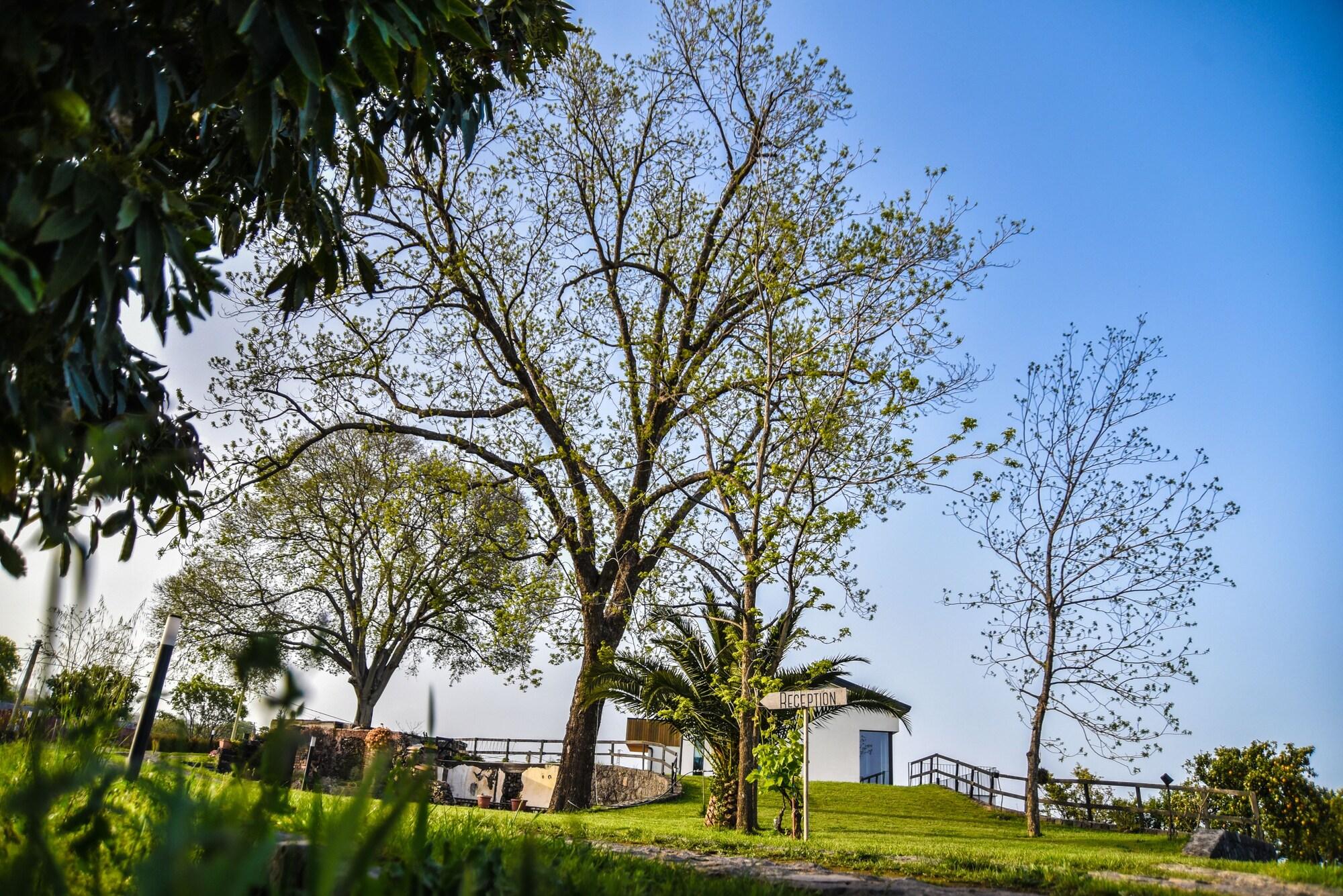 Vista Exterior AGRO Sicily
