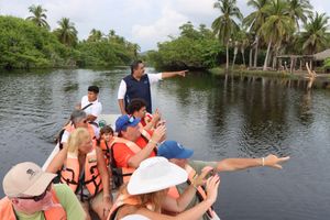 Actividad - LIBERACION DE TORTUGAS - Ve Cocodrilos y Venados