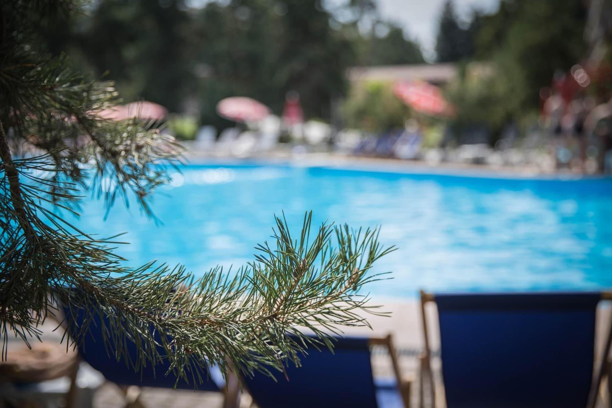 Vista Piscina Alpen Ville Hotel