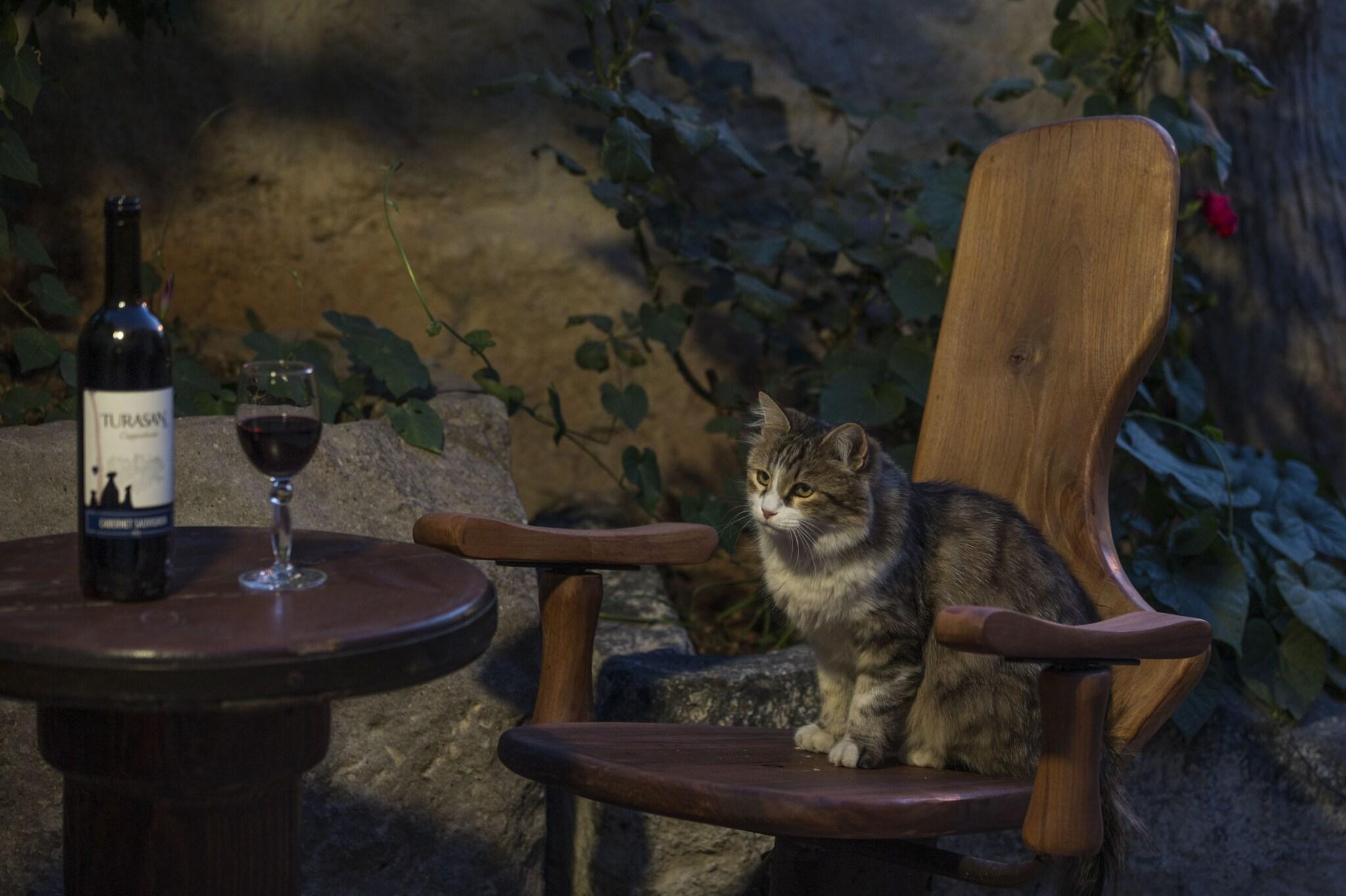 Restaurant Koza Cave Hotel