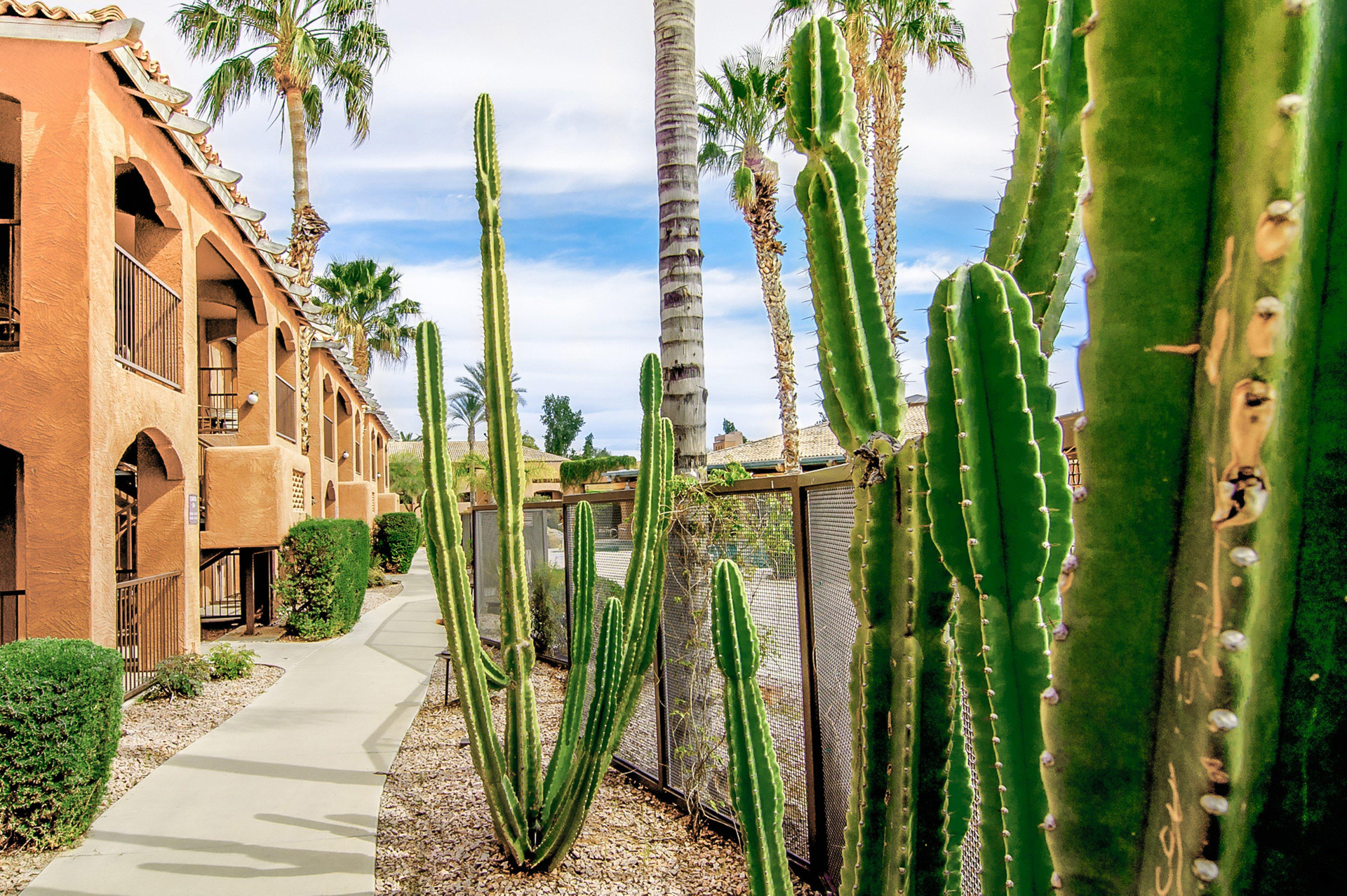 Vista Exterior Holiday Inn Club Vacations Scottsdale Resort by IHG
