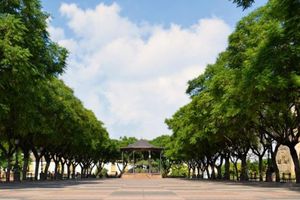 Activity - Guided Tour - Jerez historical center and Cathedral