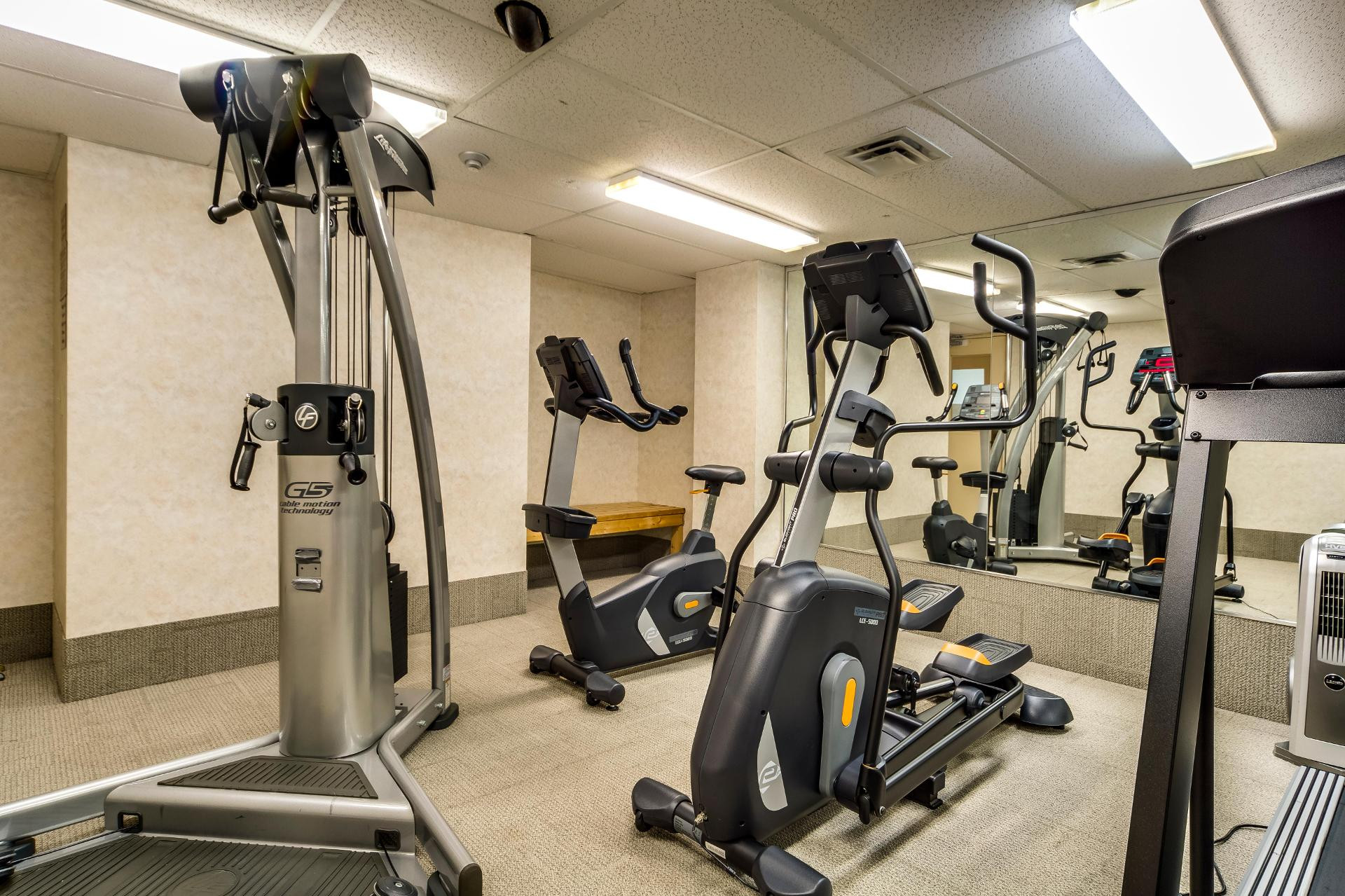 Instalaciones Recreativas Monte Carlo Inn Toronto - Markham
