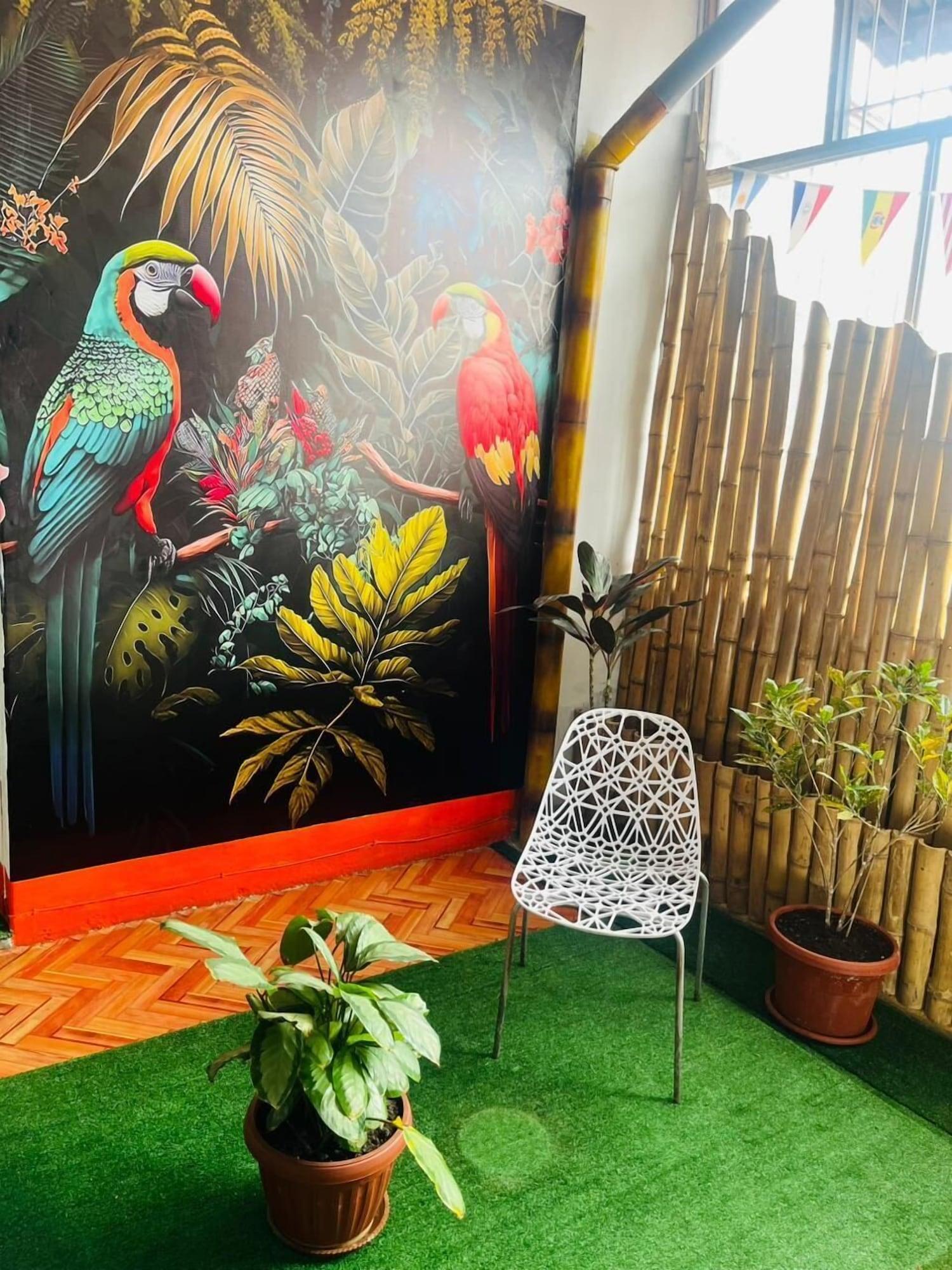 Vista Exterior AT Amazon Backpacker