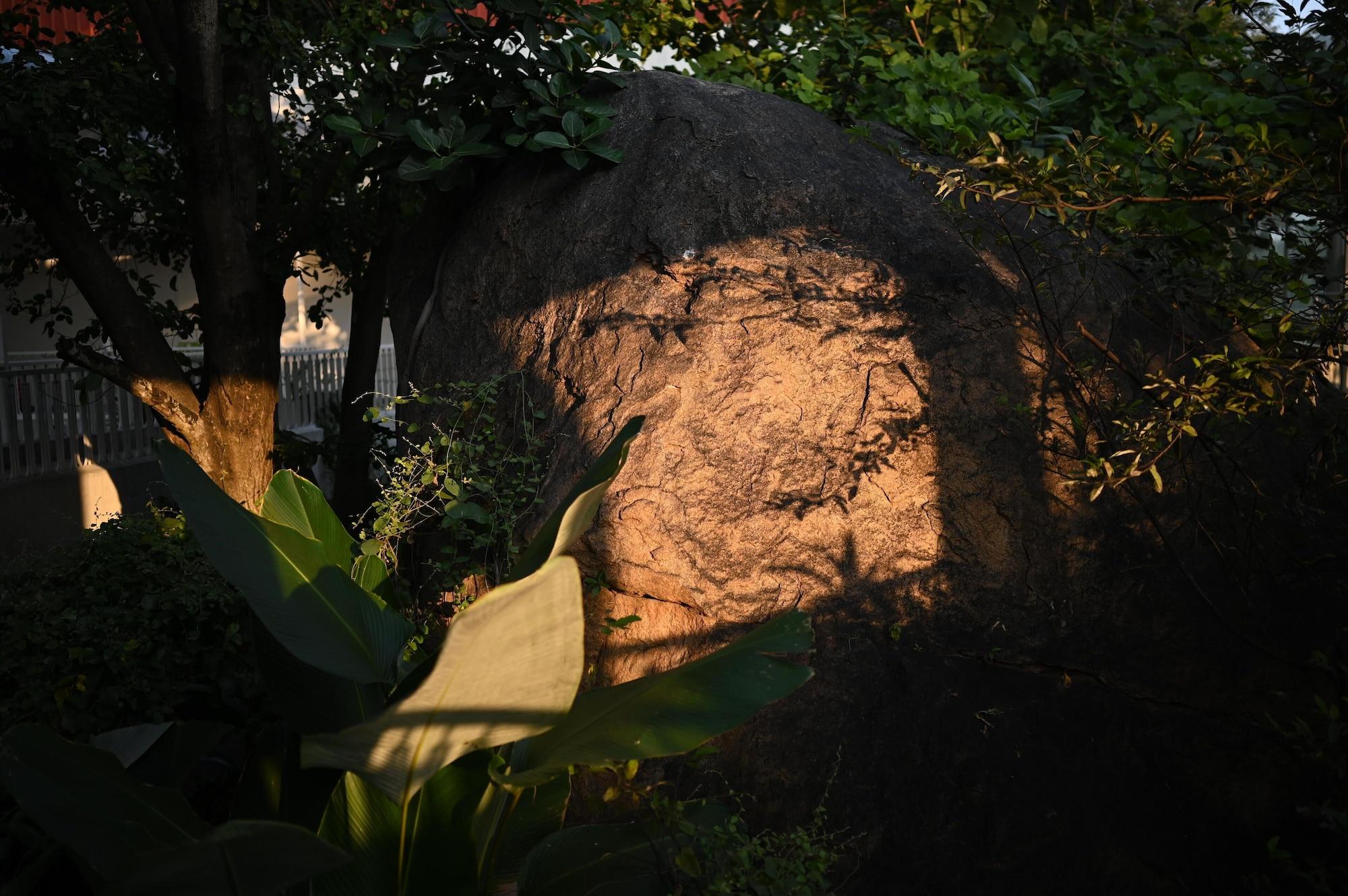 Vista Exterior VSR VRIKSHA NATUROPATHY WELLNESS