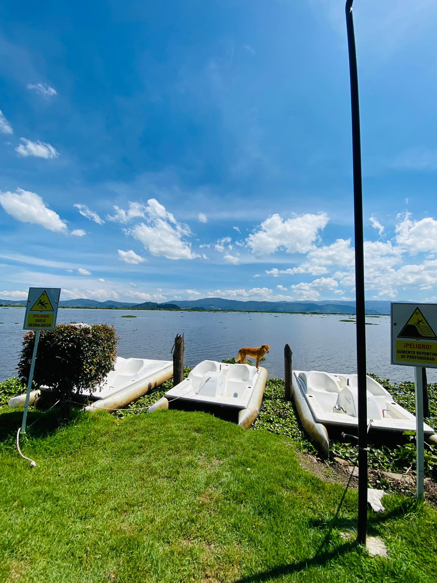 Playa Hotel Refugio El Santuario - Comfacundi