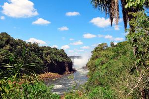 Paquete - Paquetes a Puerto Iguazú