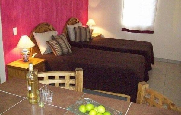 Desert Oasis with swimming pool, BBQ Wifi and outdoor firepit, bird watching - Hoteles con parque acuático en San Jose del Cabo, México