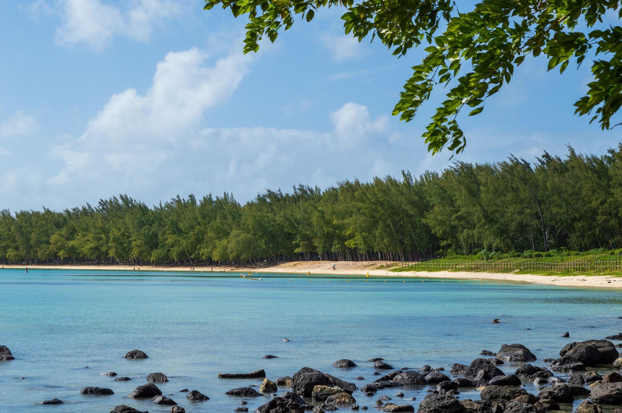 Playa Flowers of Paradise with LOV