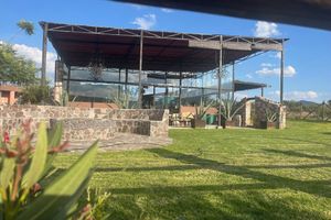 Alojamiento - Casa Pavo Real en Viñedo El Pavo Real