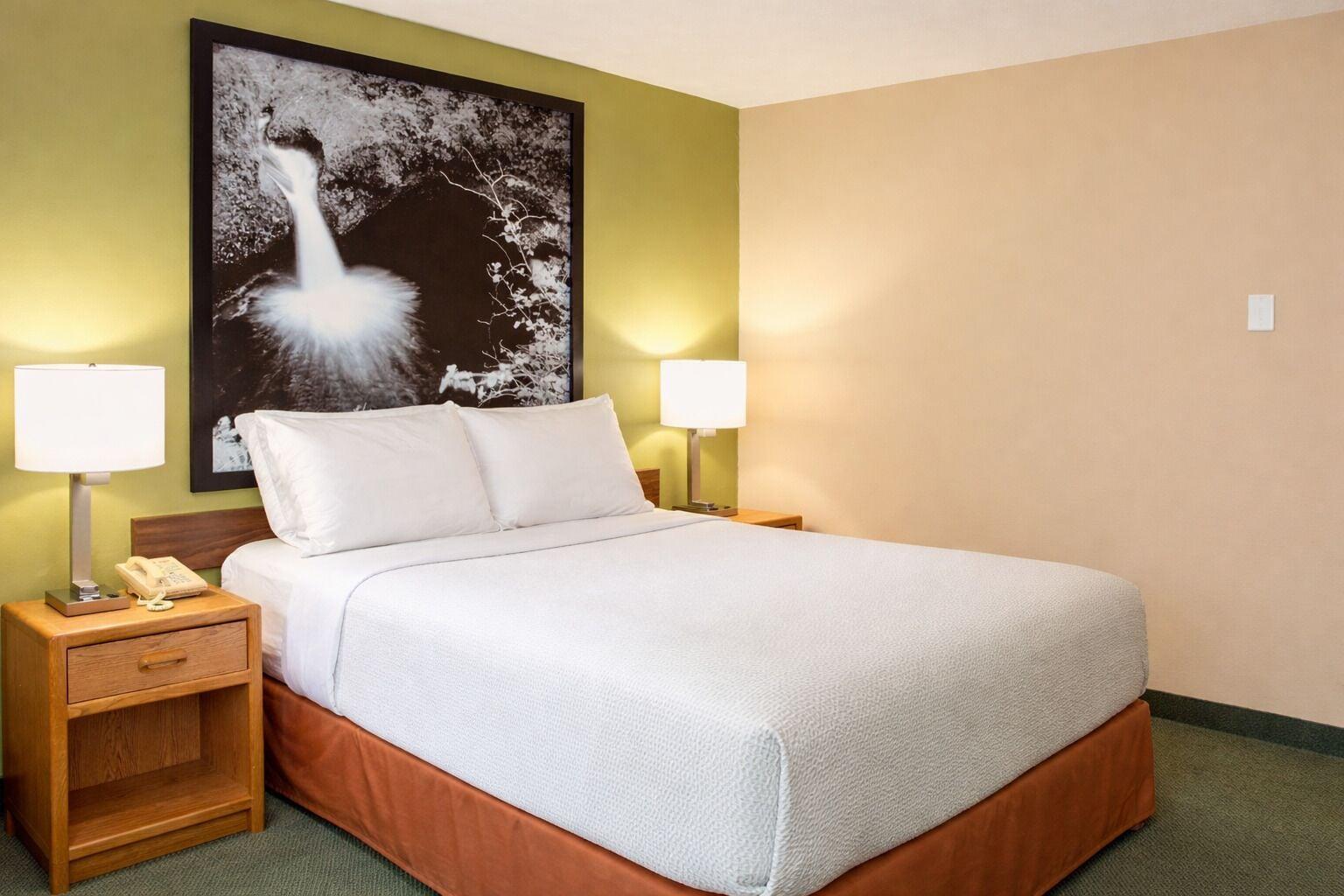 Habitación Super 8 by Wyndham Antigo