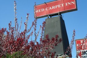 Alojamiento - Red Carpet Inn