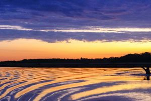 Actividad - Paseo en barco al atardecer con avistamiento de capibaras