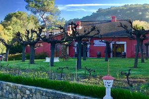 Alojamiento - Les Pins Blancs de Provence