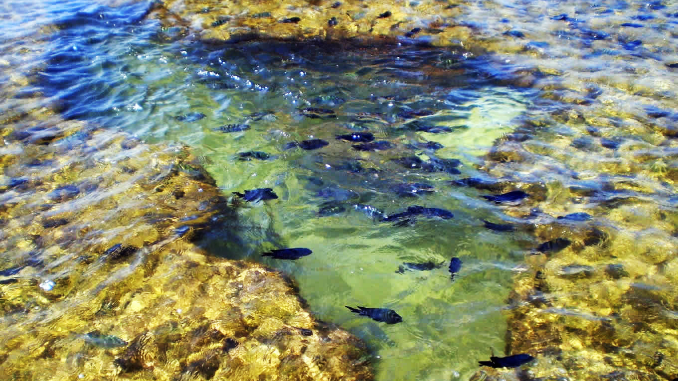 Porto de Galinhas