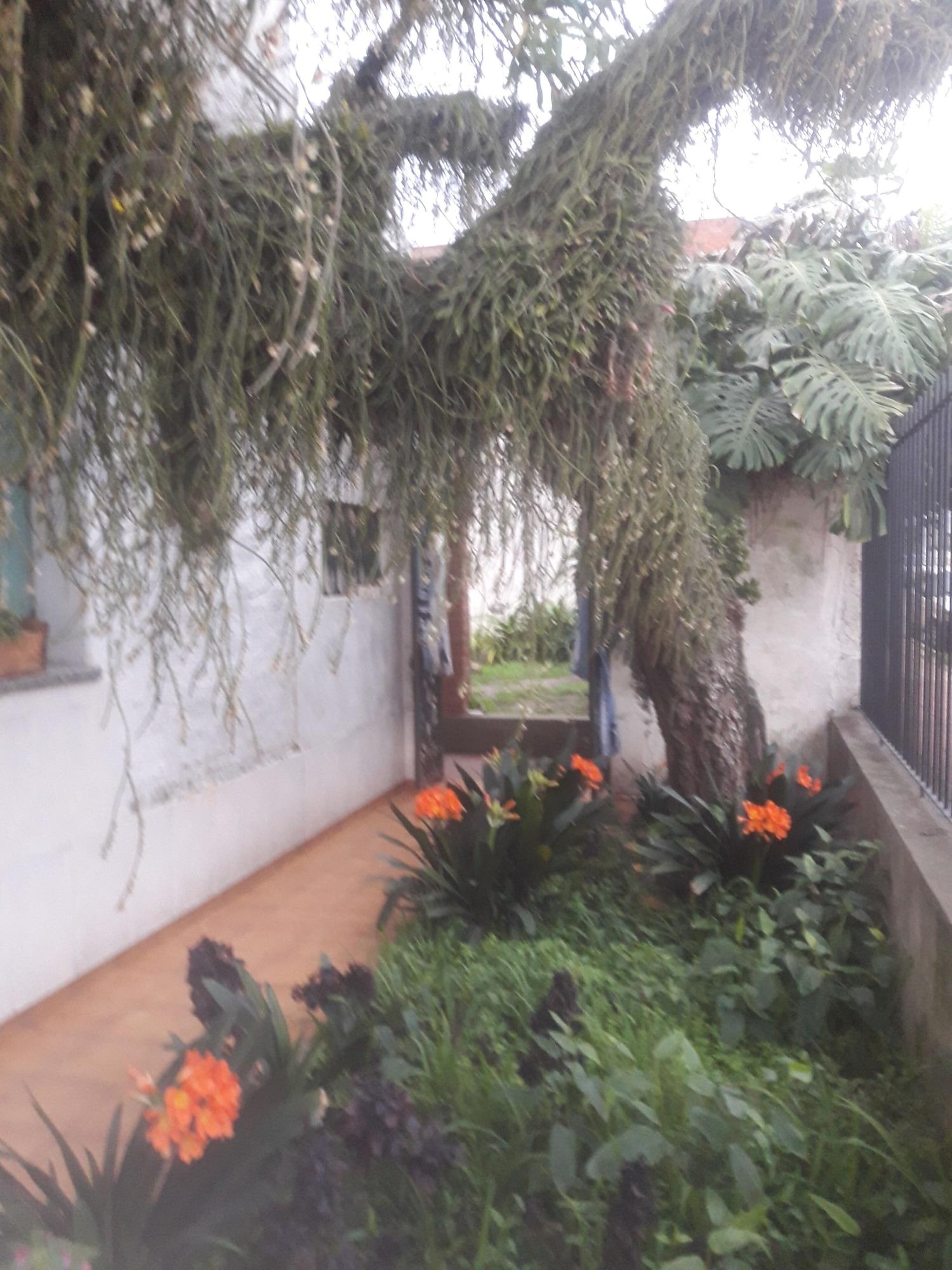 Comodidades del Alojamiento Casa del Árbol