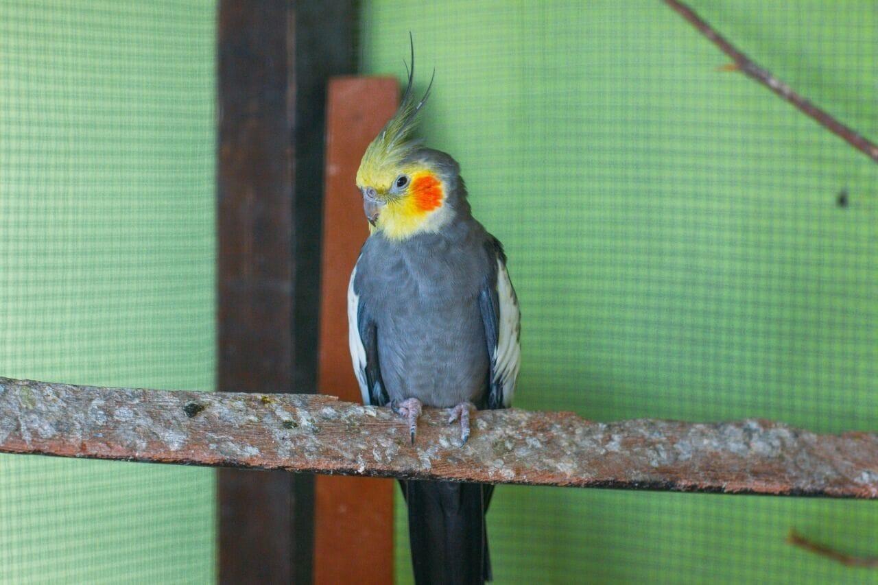 Vista Exterior Pousada Campo Alegre